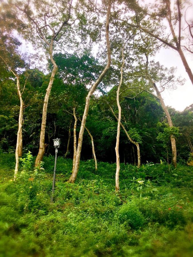 Wan Ruey Resort Hengshan Eksteriør bilde